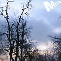 NATUR